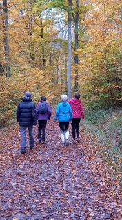 20251102 Bericht Walking 2