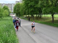 Hauptläufe Strecke
