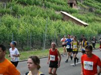 img_8439